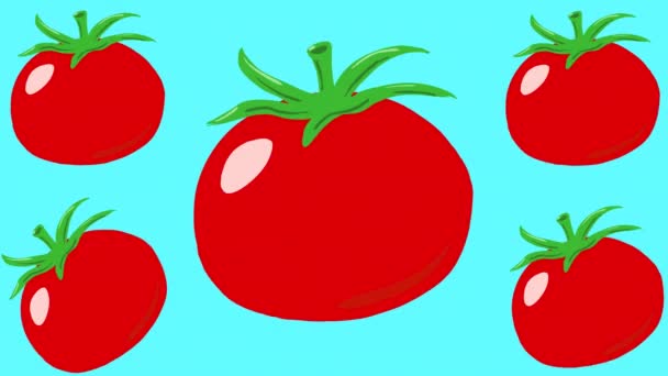 Animatie Van Tomaten Een Blauwe Achtergrond Bewegende Rode Groenten Dieet — Stockvideo