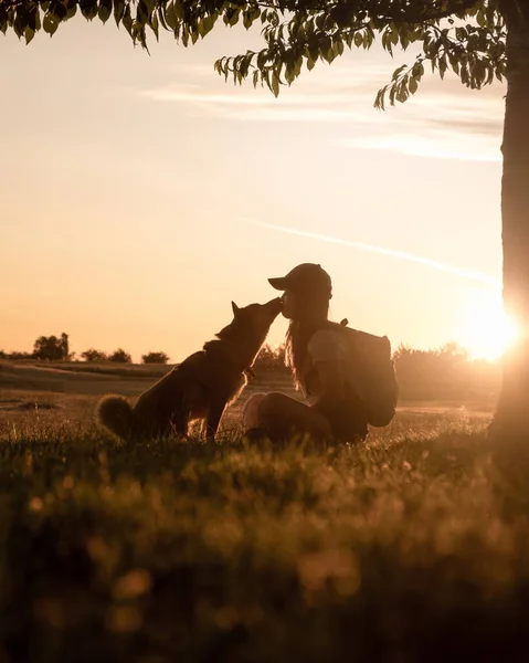 dog and girl kissing silhouette