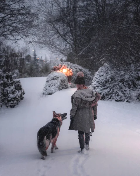 girl and dog walking in the snow