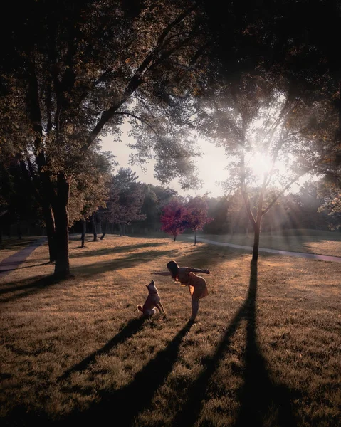 girl playing with dog in park during sunset