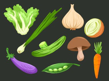 Sağlıklı çizgi film çizimleri. Sebze koleksiyonu. Marul, yeşil soğan, sarımsak, patlıcan, salatalık, bezelye, havuç ve bok mantarı çizimi içeren sebze vektör çizimi