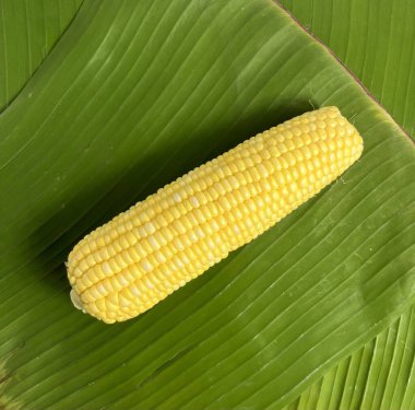 Sarı sebze tohumu, yeşil muz yapraklarına izole edilmiş yemek malzemeleri için bütün mısır. Çiğ yemek fotoğrafçılığı. Jagung kuning manis, daun pisang arkaplan.