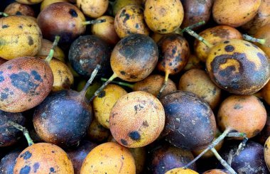 Yatay arkaplanda izole edilmiş mor ve sarı renkli cilde sahip bir grup tutku meyvesi yığını.