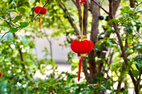 stock image Cute small red chinese lantern lamp hanging decoration isolated on horizontal garden tree branches and green leaves background photography.