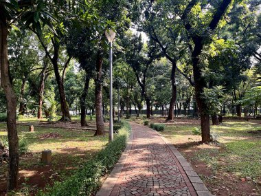Parkta güneşli bir gün. Yatay oranda ağaç gölgesi, tuğla kaldırım yolu ve botanik bitkilerin arka planında..