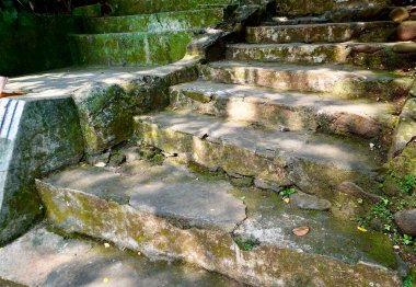 Yatay açık hava parkının arka planında güneş ışığı ve ağaç gölgesi olan yosunlu taş merdiven..