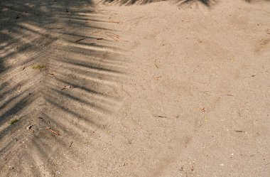 Sahildeki kum zemininde palmiye yaprağı gölgesi yatay oranda izole edilmiş kopya arkaplan.