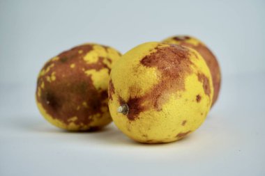 Sarı ve kahverengi şımarık, çürümüş ve kuru limon meyvesi. Nesne fotoğrafçılığı yatay beyaz arkaplanda izole edildi.