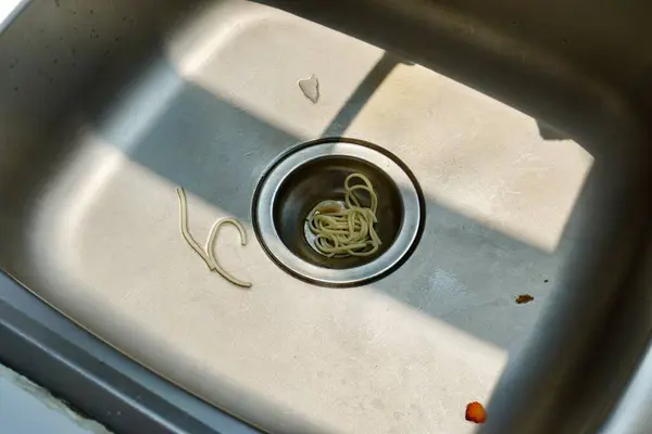 Spagetti erişteleri ve sebze dilimleri paslanmaz çelik mutfak lavabosundaki atık kalıntılar yatay arkaplanda izole edilmiş..