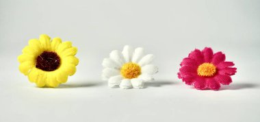 Dekoratif renklendirici üç küçük çiçek yatay beyaz arkaplanda izole edilmiş nesneyi gösterir.