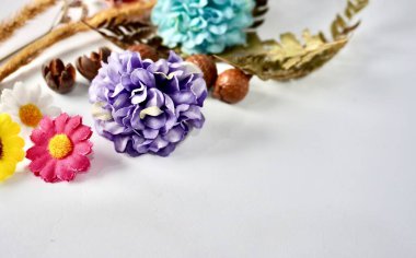 Dekoratif renkli küçük çiçekler yatay kopyalanmış beyaz arkaplan üzerinde izole edilmiş nesneleri gösterir.