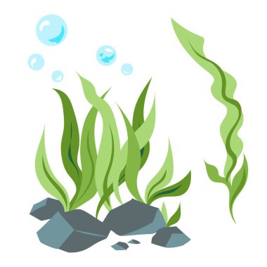 Kare beyaz arka planda izole edilmiş yeşil deniz yosunları ve kayalar renkli çizimler.