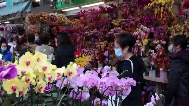Janeiro 2023 Hong Kong Cidadãos Compram Flores Mercado Flores Para — Vídeo de Stock