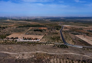 Kırsaldaki üzüm bağının havadan görünüşü