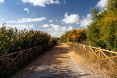 beautiful landscape with a road through the forest.