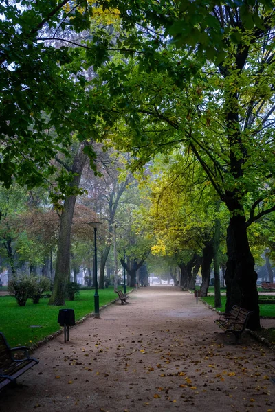 Şehirdeki sonbahar parkı