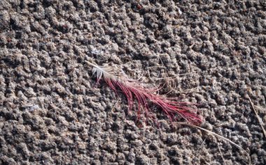 Cracked earth on the shore of a flamingo feather lagoon on a sunny day with white fluffy clouds