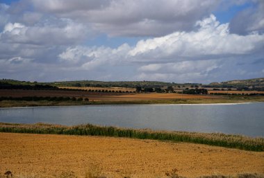 Lagoon with cracked ground on the shore and flamingos living in a flock in the wild