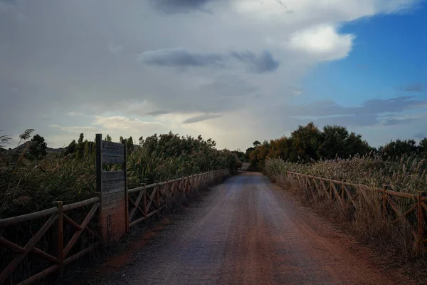 Şeker kamışı çalılarının arasından gün batımında güzel bir çitle geçen toprak yol.