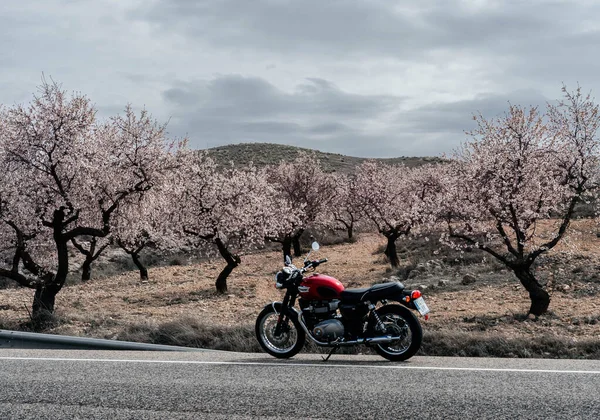 März 2023 Albacete Spanien Rotes Motorrad Triumph Bonneville T100 Straßenrand — Stockfoto