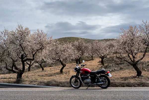 Март 2023 Альбасете Испания Красный Мотоцикл Triumph Bonneville T100 Обочине — стоковое фото