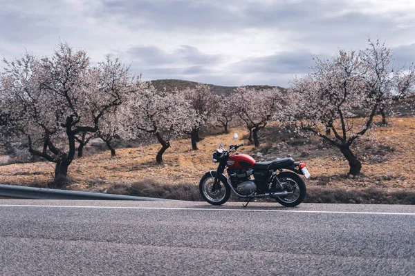 Март 2023 Альбасете Испания Красный Мотоцикл Triumph Bonneville T100 Обочине — стоковое фото