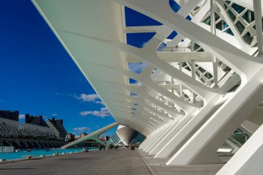 Aralık 2022 - Valencia, İspanya - Valencia Bilim ve Sanat Müzesi 'nin gelecekteki binaları