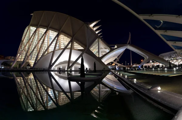 Декабрь 2022 Валенсия Испания Футуристические Здания Музея Науки Искусства Валенсии — стоковое фото