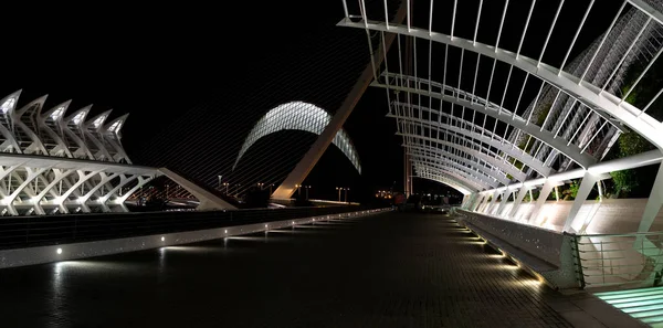 Diciembre 2022 Valencia España Edificios Futuristas Del Museo Ciencia Arte — Foto de Stock