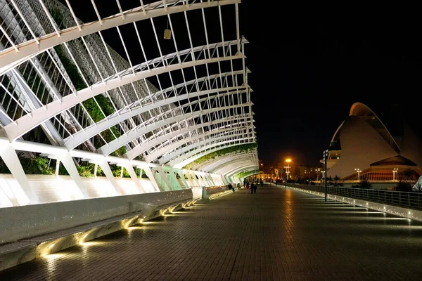 2022年12月 スペイン バレンシア 夜のバレンシアの科学美術館の未来的な建物 — ストック写真