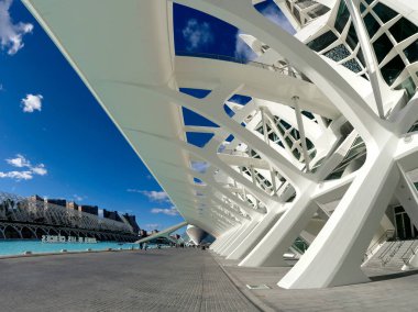 Aralık 2022 - Valencia, İspanya - Valencia Bilim ve Sanat Müzesi 'nin gelecekteki binaları