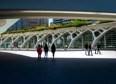 Aralık 2022 - Valencia, İspanya - Valencia Bilim ve Sanat Müzesi 'nin gelecekteki binaları