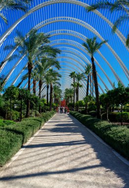 Aralık 2022 - Valencia, İspanya - Valencia Bilim ve Sanat Müzesi 'nin gelecekteki binaları