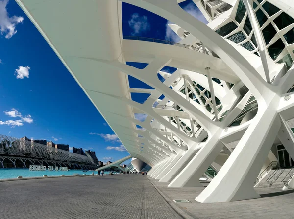 Diciembre 2022 Valencia España Edificios Futuristas Del Museo Ciencia Arte — Foto de Stock