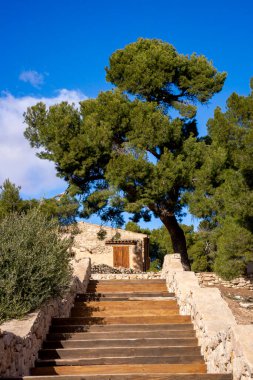 Merdivenler girişte uzun bir çam ağacı olan bir eve çıkıyor.