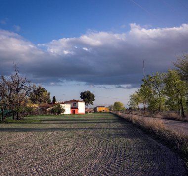 Güneşli bir günde, evin önünde çam ağacı olan taştan bir ev, sabanla sürülmüş arazinin arka planına karşı.