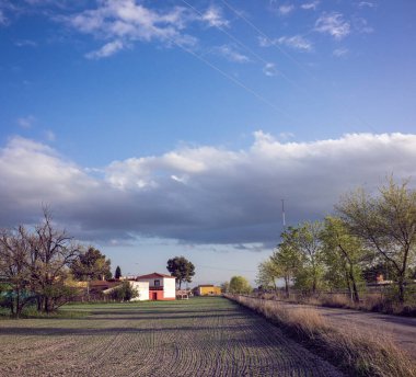 Güneşli bir günde, evin önünde çam ağacı olan taştan bir ev, sabanla sürülmüş arazinin arka planına karşı.