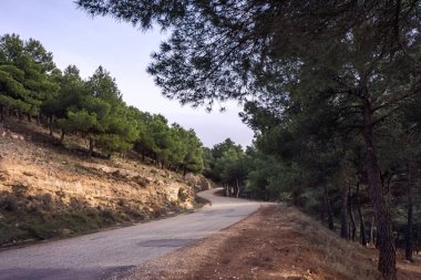 Dağ asfalt yolu ve orman gün batımında dağların arka planına karşı