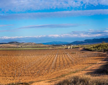 Sarı tarlalar ve tarlalar gün batımında tepelerin arka planına karşı