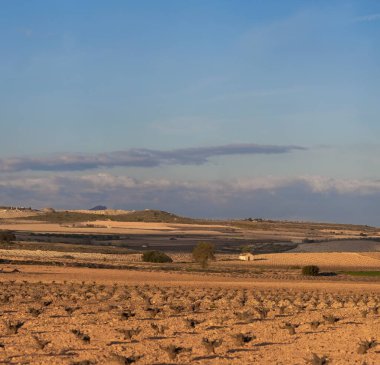 Sarı tarlalar ve tarlalar gün batımında tepelerin arka planına karşı