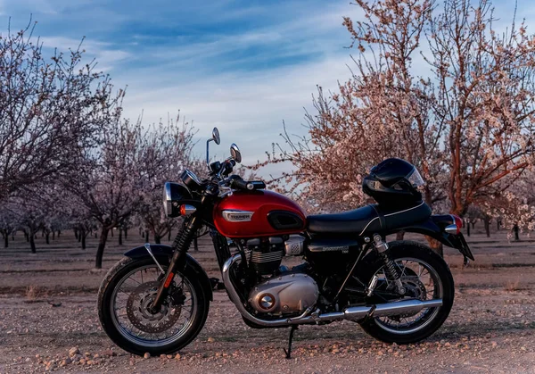 Março 2023 Albacete Espanha Triunfo Motocicleta Vermelho Bonneville 100 Uma — Fotografia de Stock