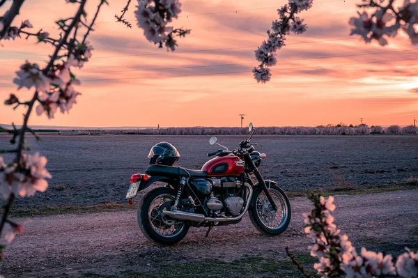 März 2023 Albacete Spanien Rotes Motorrad Triumph Bonneville 100 Auf — Stockfoto