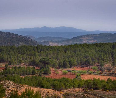 Terracotta renkli toprakları, ton perspektifi ve ağaç plantasyonları olan güzel dağ manzarası.