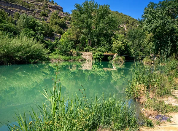 Río Tranquilo Con Agua Verde Brillante Árboles Hierba Las Orillas — Foto de Stock