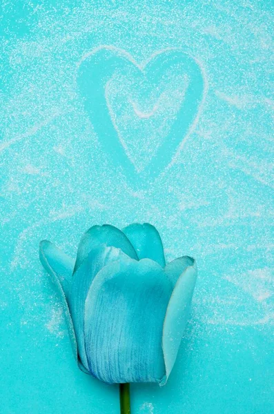 Turquoise blue background with a turquoise tulip and heart shaped white hearts in shiny white powder