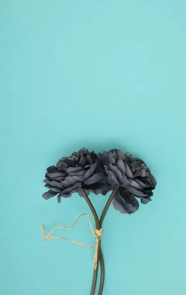 Dark flower with a cream string in a turquoise background