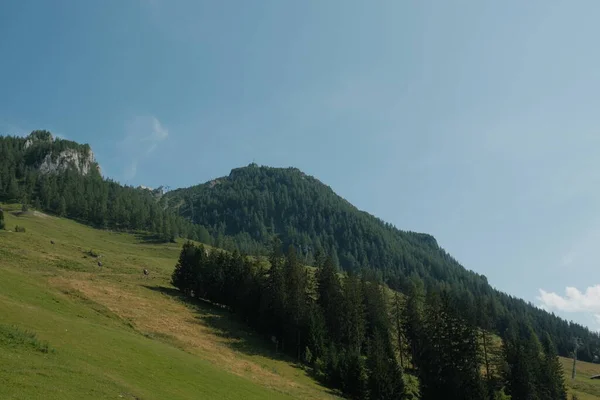 Havadan bakıldığında Konigssee 'nin büyüleyici kasabası ve bereketli ormanı Bavyera manzarasına yerleşmiş ve doğa ile medeniyet arasında büyüleyici bir ahenk ortamı sunuyor..