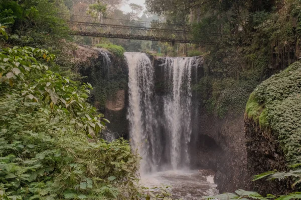 Bandung, Endonezya yakınlarındaki Taman Hutan Doğa Parkı 'nda çağlayan bir şelalenin huzur verici güzelliğini tecrübe edin.