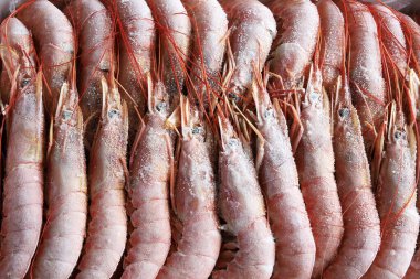 Frozen Argentinian king prawns. Directly above. 