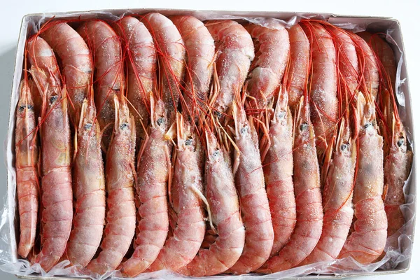 Frozen Argentinian king prawns. Directly above. 